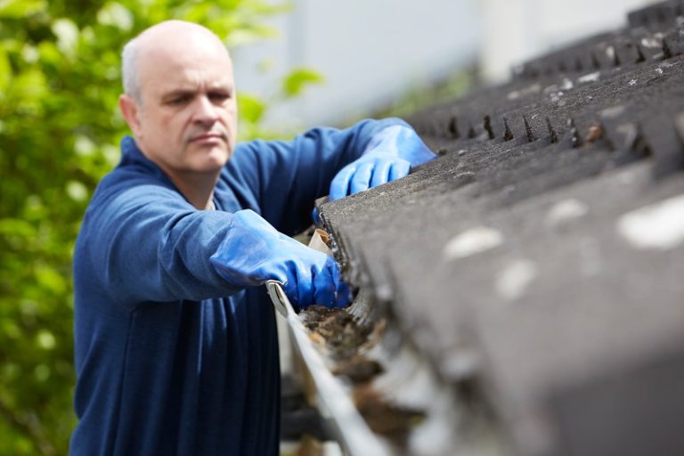 roof restoration